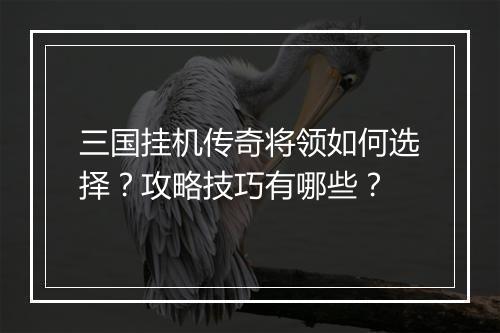 三国挂机传奇将领如何选择？攻略技巧有哪些？