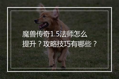魔兽传奇1.5法师怎么提升？攻略技巧有哪些？