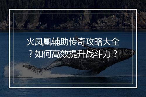 火凤凰辅助传奇攻略大全？如何高效提升战斗力？