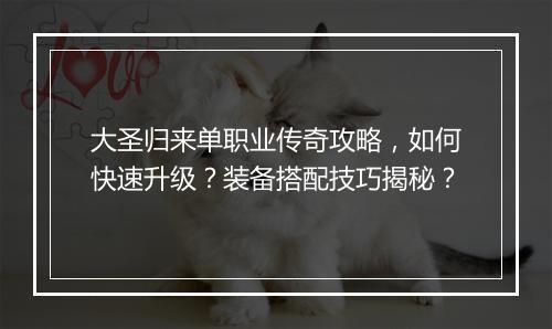 大圣归来单职业传奇攻略，如何快速升级？装备搭配技巧揭秘？