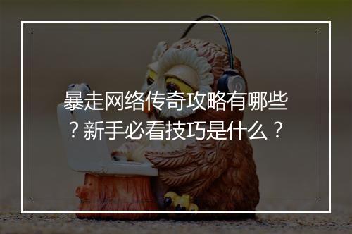 暴走网络传奇攻略有哪些？新手必看技巧是什么？