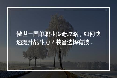 傲世三国单职业传奇攻略，如何快速提升战斗力？装备选择有技巧吗？