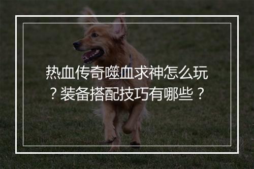 热血传奇噬血求神怎么玩？装备搭配技巧有哪些？