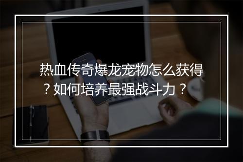 热血传奇爆龙宠物怎么获得？如何培养最强战斗力？