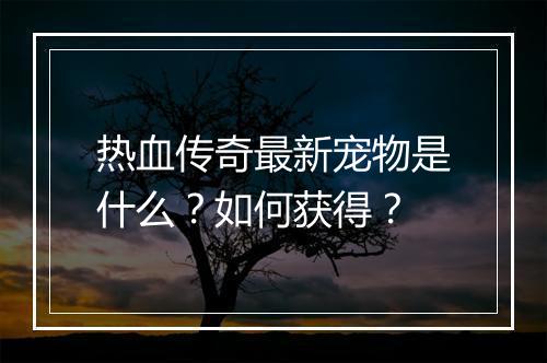热血传奇最新宠物是什么？如何获得？