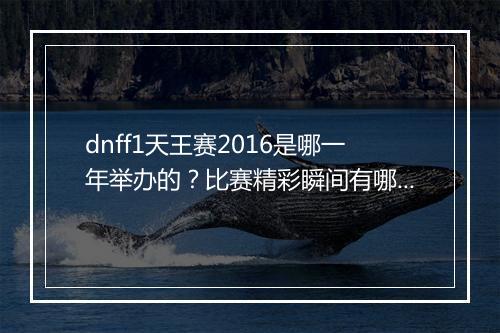 dnff1天王赛2016是哪一年举办的？比赛精彩瞬间有哪些？
