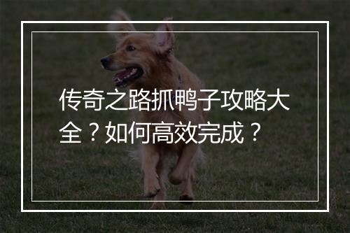 传奇之路抓鸭子攻略大全？如何高效完成？