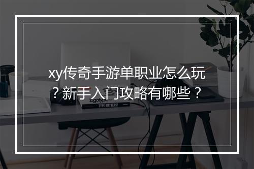 xy传奇手游单职业怎么玩？新手入门攻略有哪些？