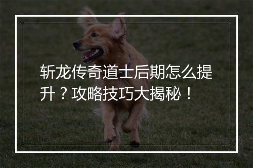 斩龙传奇道士后期怎么提升？攻略技巧大揭秘！