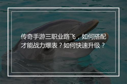传奇手游三职业路飞，如何搭配才能战力爆表？如何快速升级？