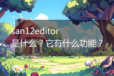 san12editor 是什么?它有什么功能?