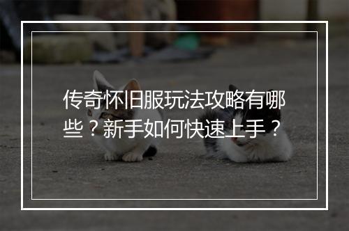 传奇怀旧服玩法攻略有哪些？新手如何快速上手？