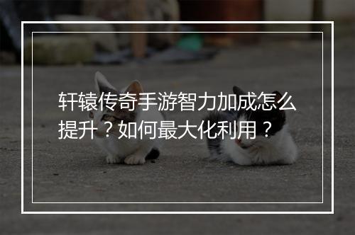 轩辕传奇手游智力加成怎么提升？如何最大化利用？