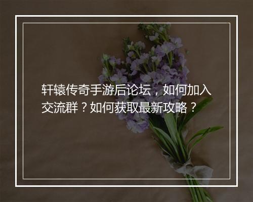 轩辕传奇手游后论坛，如何加入交流群？如何获取最新攻略？