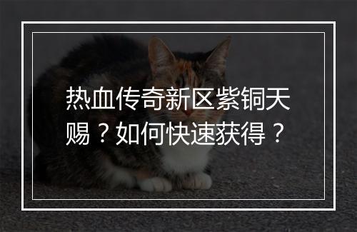 热血传奇新区紫铜天赐？如何快速获得？