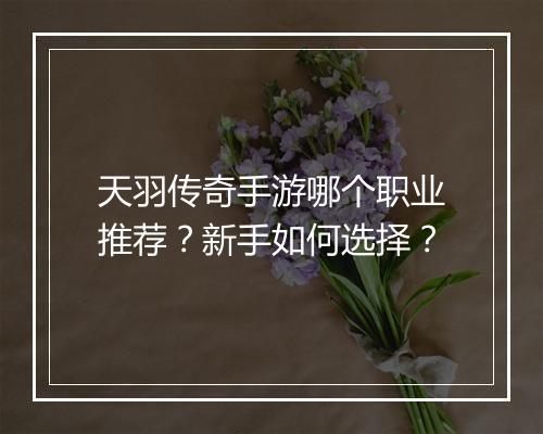 天羽传奇手游哪个职业推荐？新手如何选择？