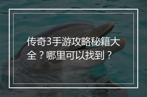 传奇3手游攻略秘籍大全？哪里可以找到？