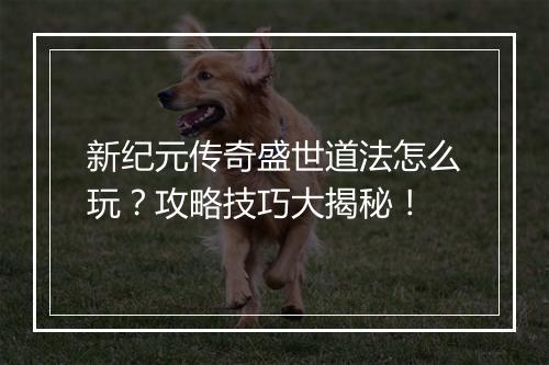 新纪元传奇盛世道法怎么玩？攻略技巧大揭秘！