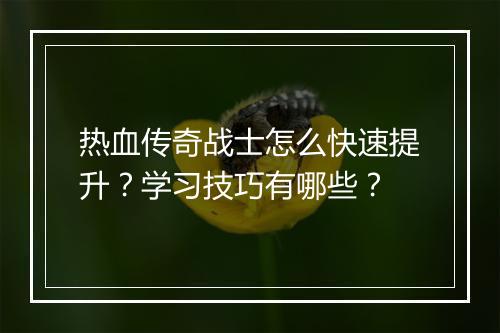 热血传奇战士怎么快速提升？学习技巧有哪些？