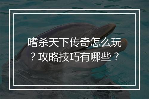 嗜杀天下传奇怎么玩？攻略技巧有哪些？