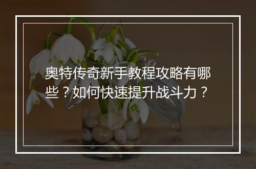 奥特传奇新手教程攻略有哪些？如何快速提升战斗力？