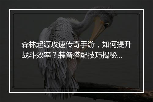 森林起源攻速传奇手游，如何提升战斗效率？装备搭配技巧揭秘？
