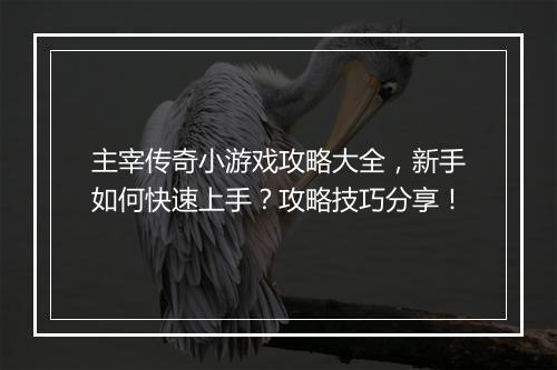 主宰传奇小游戏攻略大全，新手如何快速上手？攻略技巧分享！