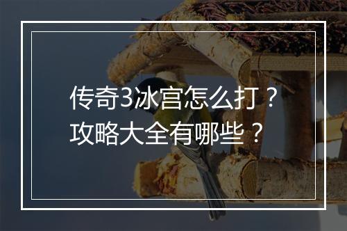 传奇3冰宫怎么打？攻略大全有哪些？