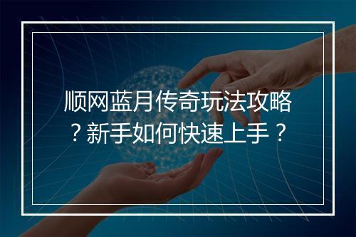 顺网蓝月传奇玩法攻略？新手如何快速上手？