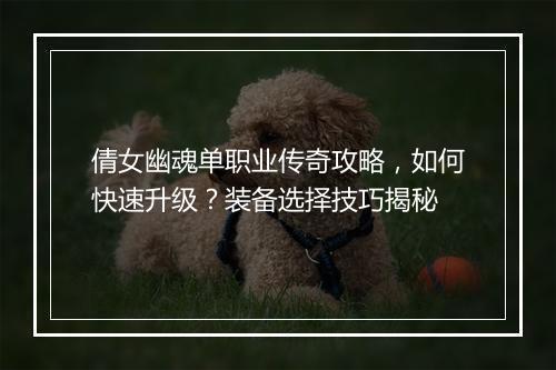 倩女幽魂单职业传奇攻略，如何快速升级？装备选择技巧揭秘