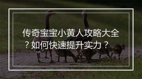 传奇宝宝小黄人攻略大全？如何快速提升实力？