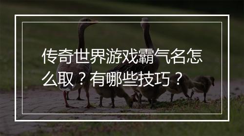 传奇世界游戏霸气名怎么取？有哪些技巧？