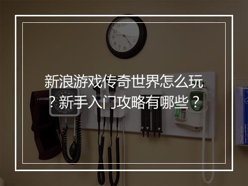 新浪游戏传奇世界怎么玩？新手入门攻略有哪些？