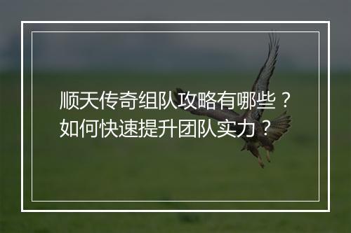 顺天传奇组队攻略有哪些？如何快速提升团队实力？
