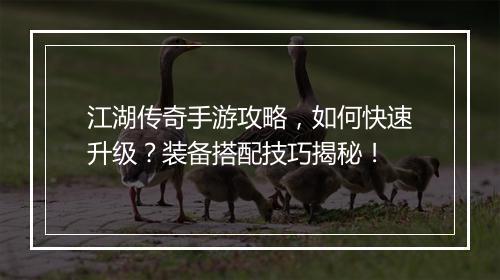 江湖传奇手游攻略,如何快速升级?装备搭配技巧揭秘!