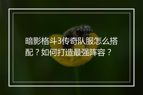 暗影格斗3传奇队服怎么搭配？如何打造最强阵容？