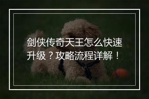 剑侠传奇天王怎么快速升级？攻略流程详解！