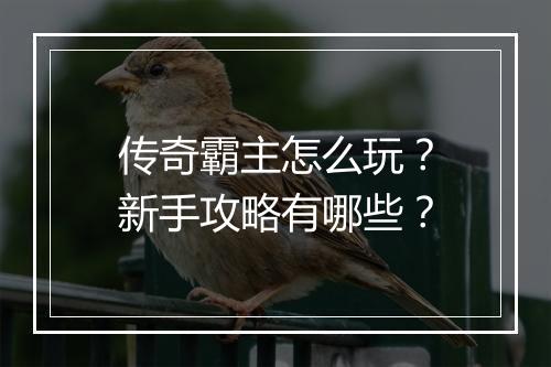 传奇霸主怎么玩？新手攻略有哪些？