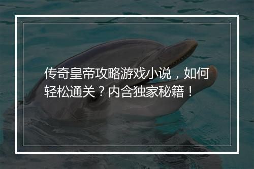 传奇皇帝攻略游戏小说，如何轻松通关？内含独家秘籍！