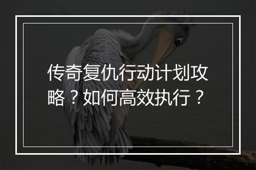 传奇复仇行动计划攻略？如何高效执行？