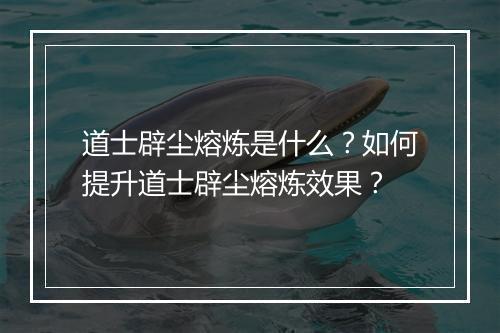 道士辟尘熔炼是什么？如何提升道士辟尘熔炼效果？