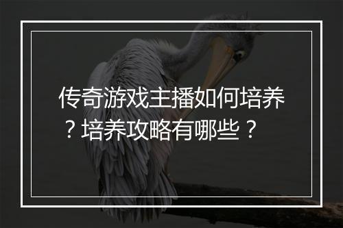 传奇游戏主播如何培养？培养攻略有哪些？