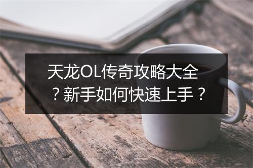 天龙OL传奇攻略大全？新手如何快速上手？