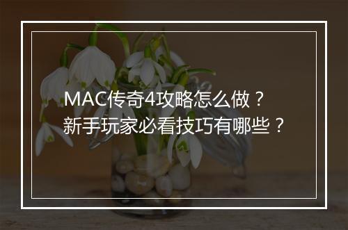 MAC传奇4攻略怎么做？新手玩家必看技巧有哪些？