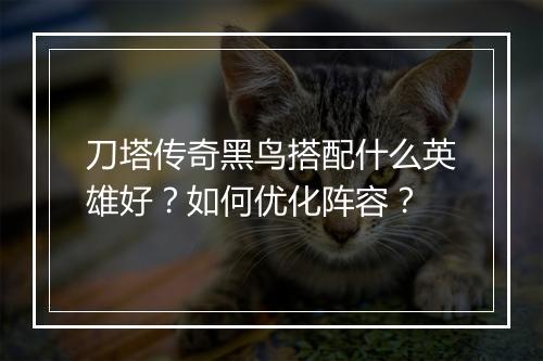 刀塔传奇黑鸟搭配什么英雄好？如何优化阵容？