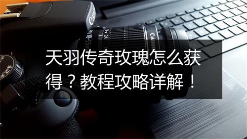 天羽传奇玫瑰怎么获得？教程攻略详解！
