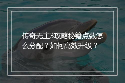 传奇无主3攻略秘籍点数怎么分配？如何高效升级？