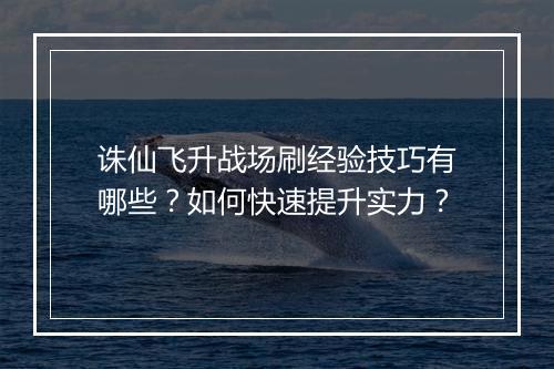 诛仙飞升战场刷经验技巧有哪些？如何快速提升实力？