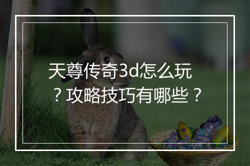 天尊传奇3d怎么玩？攻略技巧有哪些？