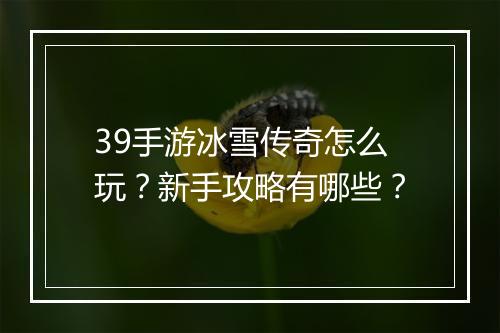 39手游冰雪传奇怎么玩？新手攻略有哪些？